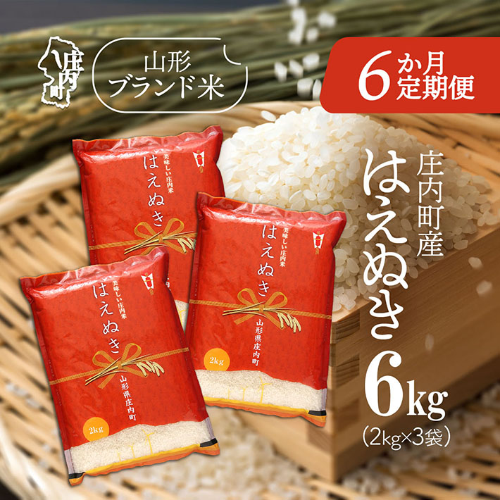 <12月中旬発送>庄内米6か月定期便!はえぬき 6kg(入金期限:2025.11.25)