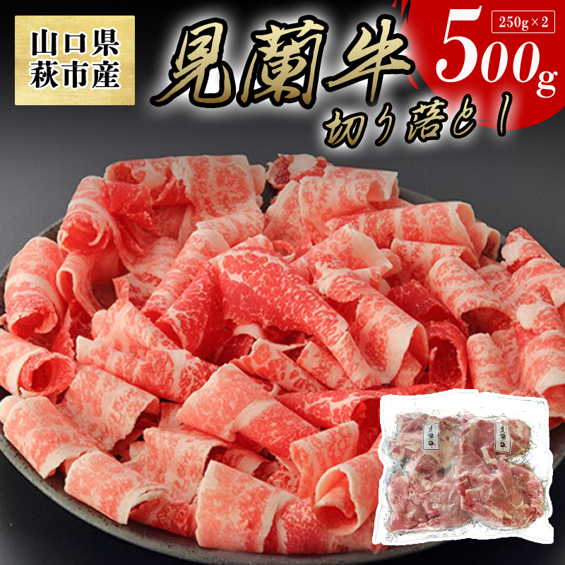 [数量限定]山口県萩市産 見蘭牛 切り落とし 500g (250g×2)国産 肉 お肉 牛 |hg000068