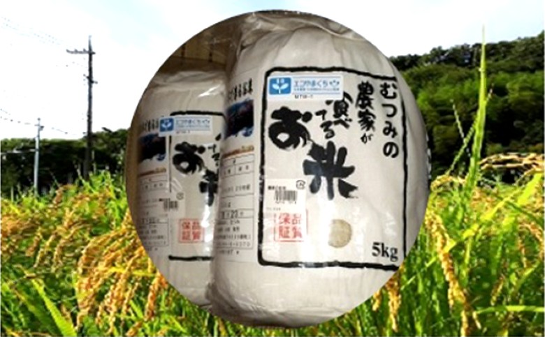 農家が食べてるお米「コシヒカリ」5kg×2 |hg000136