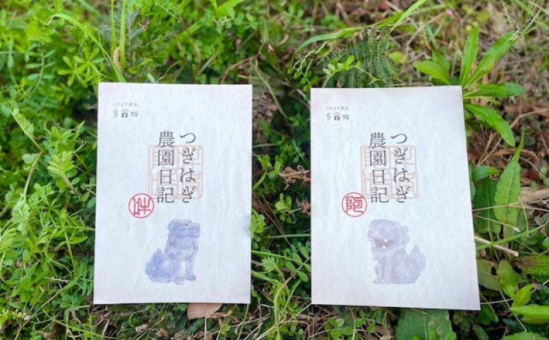 みかん 甘夏 10kg セット 『つぎはぎ農園日記』つぎはぎセット 果物 柑橘 ミカン フルーツ |hg000879