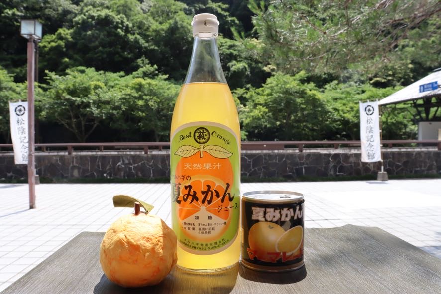 みかん 加工品 セット 萩名産 夏みかん マーマレード 370g×5個 & 夏みかん ジュース 900ml×2本 柑橘類 |hg001058