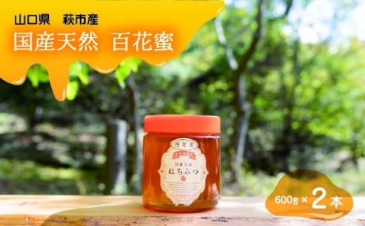 純粋天然 百花はちみつ 600g×2本 |hg001061
