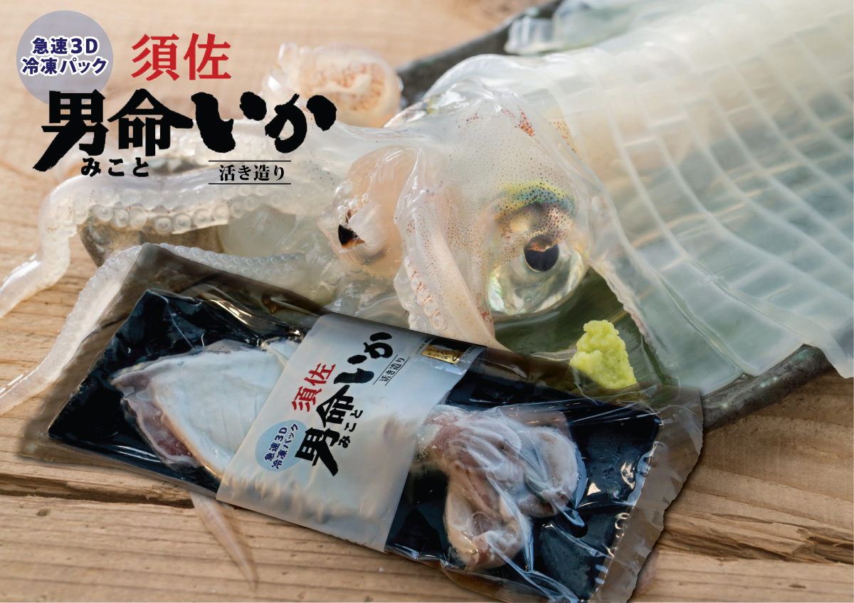 自宅で透明感を再現!須佐男命いかの姿造り(刺身)特殊冷却「3D冷凍」パック 3個 |hgH00043