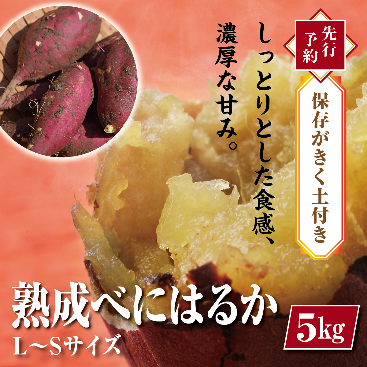 【先行予約・1月中旬以降出荷】神崎町産べにはるか 土付き「さつまいも」L～Sサイズ　5kg[016-a008]【千葉県神崎町ふるさと納税】