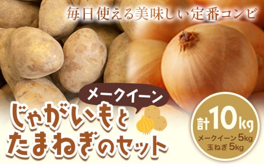 じゃがいも(メークイン)とたまねぎのセット 合計約10kg 野菜 《10月中旬から順次出荷》橋枝物産 北海道 浦幌町