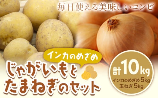 じゃがいも（インカのめざめ）とたまねぎのセット 合計約10kg 野菜 《10月中旬から順次出荷》橋枝物産 北海道 浦幌町 st-p