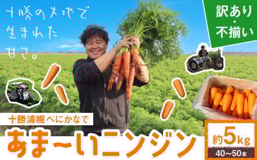 甘~いニンジン 十勝 浦幌べにかなで 【訳あり・不揃い】 約5kg 40~50本 農事組合法人レギューム《12月上旬から5月上旬頃出荷》北海道 浦幌町 人参 にんじん 安心 安全 野菜 お野菜 やさい 紅奏 シャキシャキ 甘い st-p