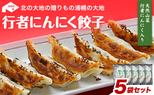 行者にんにく餃子(220g×5パック)《30日以内に出荷予定(土日祝除く)》北海道 浦幌町 ユーエム ニンニク 行者にんにく ご当地餃子 餃子 ぎょうざ ギョーザ