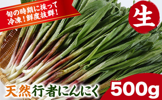 先行予約 天然生行者にんにく500g 《4月下旬頃から順次発送(土日祝除く)》北海道 浦幌町 山菜 希少種 者ニンニク 幻の山菜 山菜 山の幸 野菜 疲労回復 健康 st-p