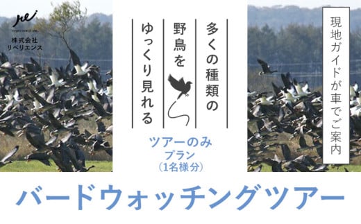十勝バードウォッチングツアー ツアーのみ 体験型返礼品