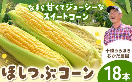 【2026年先行予約】まぼろしの「ほしつぶコーン」18本 ジャンボサイズ とうもろこし おかだ農園 北海道 浦幌町産 【7月末‐8月中旬頃出荷】 安心安全 こだわりの栽培 朝もぎたて 産地直送 朝採り スイートコーン