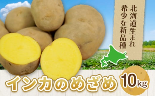 インカのめざめ 10kg じゃがいも 飯山農場《30日以内に出荷予定(土日祝除く)》芋 ジャガイモ 野菜 送料無料 北海道 浦幌町 st-p
