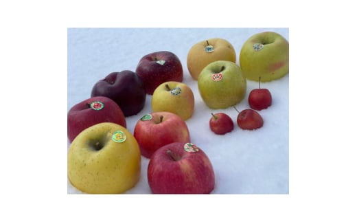 園主おススメ!　旬のりんご詰め合わせ　＜贈答用＞　約5キロ　4品種食べ比べ【1568465】