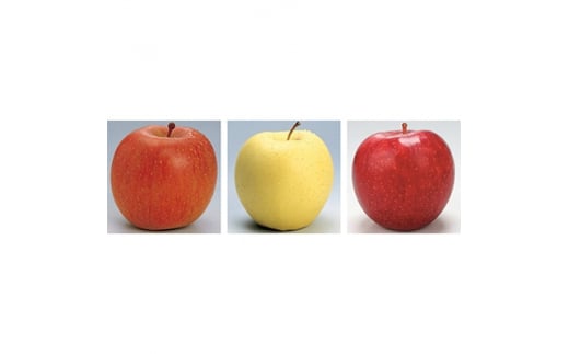 ＜発送月固定定期便＞R8年1月発送開始 青森県産りんご　月替わりでお届けします全3回【4002854】