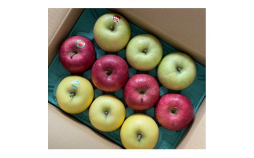 鎌田林檎園直送!　りんご3種詰め合わせセット　約3kg【1345555】