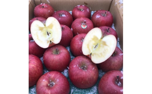 りんごと言えば、本場青森県産サンふじ、家庭用　5kg　14個前後入り　【1376645】