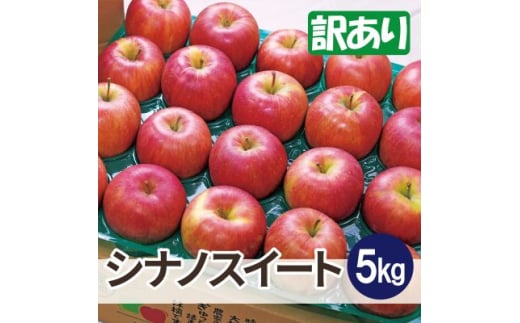 ＜26年4月より順次発送＞平均糖度13度以上! シナノスイート 約5kg 訳あり  クール便【1609651】