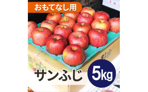 平均糖度13度以上! サンふじ 約5kg おもてなし用  クール便【1611231】
