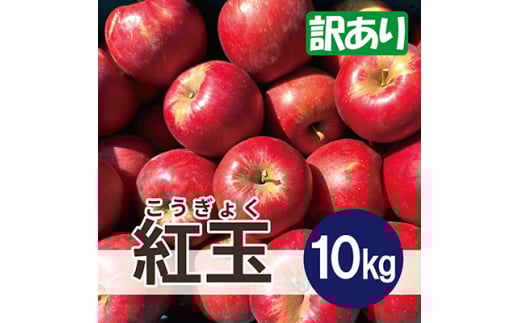 ＜26年4月より順次発送＞ 紅玉 約10kg 訳あり  クール便【1611868】