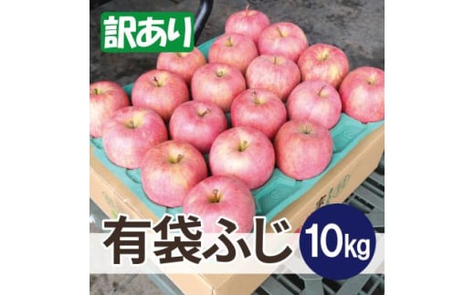 平均糖度13度以上! 有袋ふじ 約10kg 訳あり CA貯蔵 クール便【1613262】