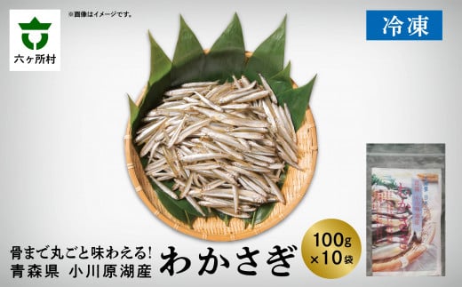 青森県 小川原湖産 冷凍 わかさぎ(大) 1kg