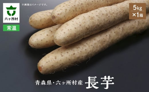《先行予約》2025年12月中旬~発送開始 長芋 5㎏×1箱