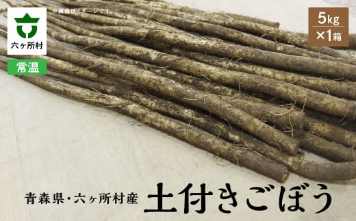 《先行予約》2025年11月中旬~発送開始 ごぼう 5㎏×1箱 Mサイズ 18~22本