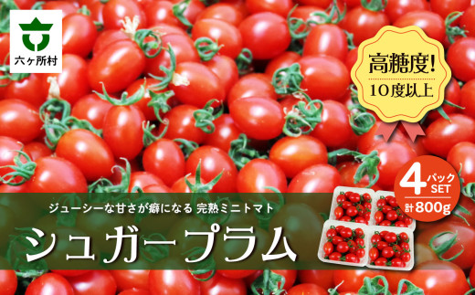 青森県六ヶ所村産トマト 800g