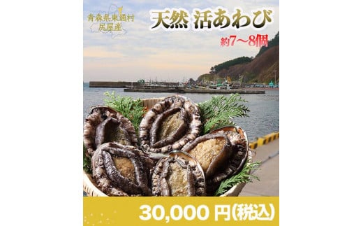 【C-02-02】東通産「活アワビ」※※11月以降発送※※