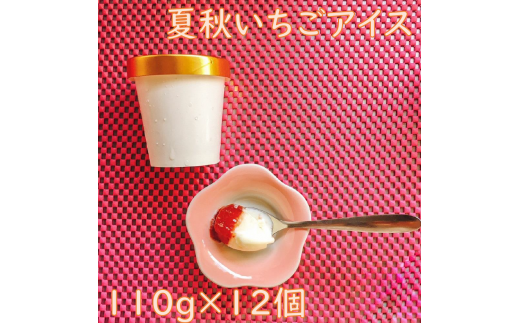 【A-08-02】夏秋いちごアイス(110g×12個)