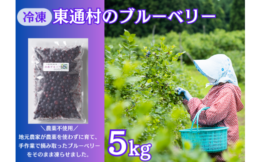 【A-01-07】冷凍ブルーベリー(5㎏)