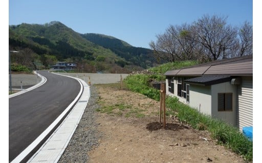①地に足をつけた基盤整備を進めます（道路の整備と交通・通信体制の整備）