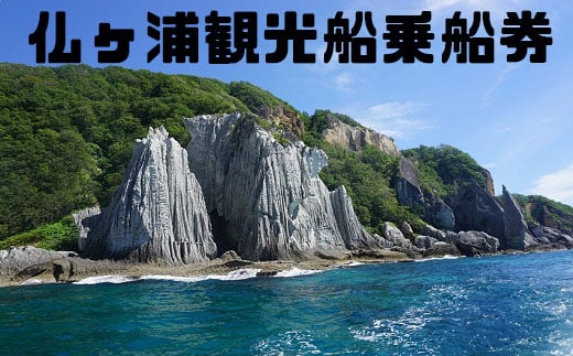 仏ヶ浦観光船乗船券2枚組