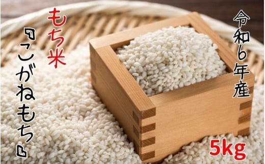 【令和6年産】平泉町産 もち米 こがねもち 5kg / お米 こめ もちごめ 令和6年産 産地直送 国産 もち米の王様 年末 お正月 餅つき お餅 お雑煮 ぞうに お赤飯 おはぎ ぼたもち ギフト プレゼント 贈答 お祝い お返し
