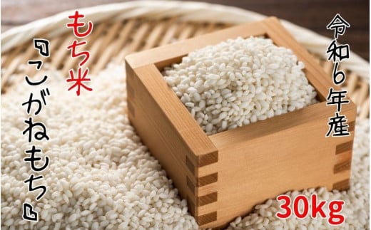 【令和6年産】平泉町産もち米 こがねもち 30kg(10㎏×3袋 ) / お米 こめ もちごめ 令和6年産 産地直送 国産 もち米の王様 年末 お正月 餅つき お餅 お雑煮 ぞうに お赤飯 おはぎ ぼたもち ギフト プレゼント 贈答 お祝い お返し