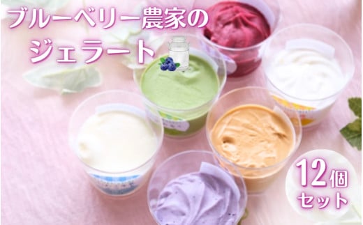 ブルーベリー農家のジェラート 12個パック(自家製ミニソース付き)/ ジェラート シャーベット アイス アイスクリーム デザート スイーツ スウィーツ カップアイス KOZENJIcafé