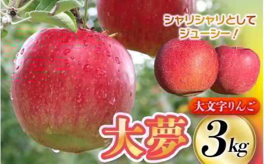 【11月上旬頃より順次発送】大文字りんご園 大夢(おおゆめ) 約3kg (7~10玉) / りんご リンゴ 林檎 果物 くだもの フルーツ 甘い 旬 産地直送 【dma513-l-oy-3C】