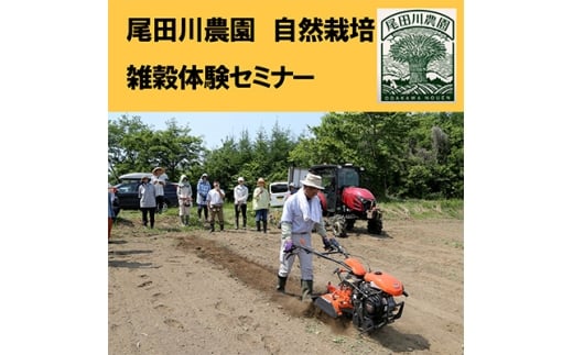 尾田川農園 雑穀の聖地 岩手県軽米町 ヒエ 自然栽培 雑穀体験セミナー 1回参加【1609798】