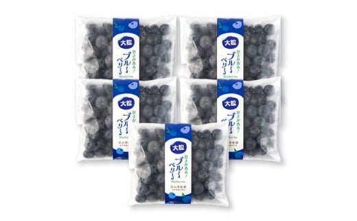 軽米町産<完熟大粒ブルーベリー>冷凍 300g×5袋(合計約1500g)【1675308】