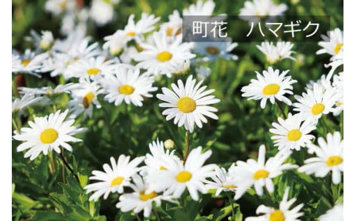 町長にお任せ
