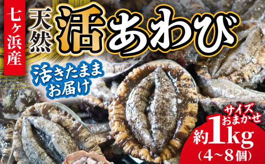 活あわび 約 1kg (4～8個) 活きたままお届け！エアーポンプ付 冷蔵 蝦夷 あわび 国産 サイズおまかせ｜ 七ヶ浜 漁協 鮑 素潜り 高級 ステーキ アワビ 刺身 蒸し 肉厚 漁港直送 天然 新鮮 お造り 宮城県 七ヶ浜町 ｜ jf-aw01-r6pd