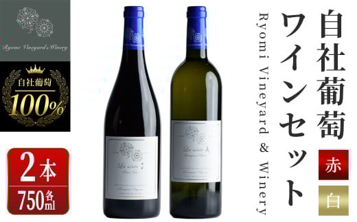 自社葡萄を使用したワインセット 750ml×2本 ピノノワール ソーヴィニヨンブラン 赤ワイン 白ワイン ミディアムボディ 辛口 ぶどう ブドウ アルコール ギフト 宮城県産 みらいファームやまと 【了美ワイナリー】ta497