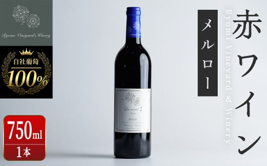自社葡萄を使用した赤ワイン メルロー 750ml×1本 ラセリー了 ミディアムボディ ぶどう ブドウ アルコール ギフト 宮城県産 みらいファームやまと 【了美ワイナリー】ta466