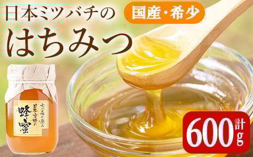 七ツ森の恵 日本ミツバチのはちみつ 600g ハチミツ 蜂蜜 日本蜜蜂 国産 日本ミツバチ 百花蜜【はちみつ屋】ta200