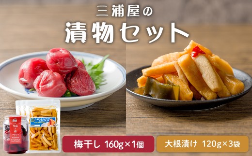 三浦屋の漬物2種セット むげんぱりぱり大根しょうゆ漬け(120g×3袋) 昔ながらのしょっぱい梅干し(160g×1個) 大根漬け だいこん漬け うめぼし 梅 塩 赤しそ 漬物 漬け物 おかず おつまみ お茶請け お弁当 ご飯のお供 【三浦屋】ta528