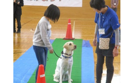 動物愛護を支援したい