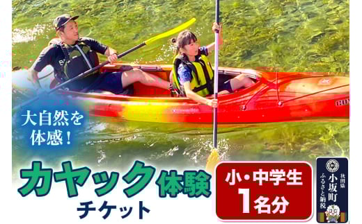 カヤック体験チケット 小・中学生 1名分 体験 アクティビティ 秋田県 小坂町