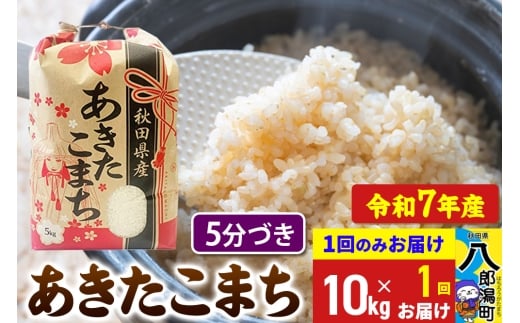 【新米】 あきたこまち 10kg【5分づき】令和7年産 秋田県産 こまちライン