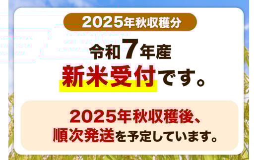 広島県産あきたこまち5分づき27kg(令和5年産) 楽天市場】【白米5kg】令和6年産 秋田県産 あきたこまち 5kg