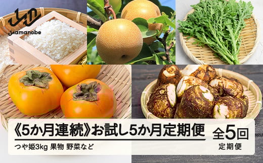 山形県産  5カ月連続 お試し5か月定期便  産直 やまのべ温泉市  野菜 果物 米  F20A-566 ※沖縄・離島への配送不可